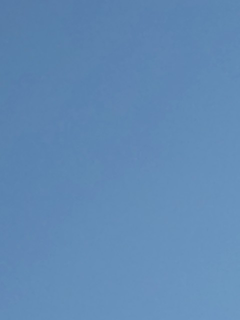 f:id:amgmc:20221230103313j:image