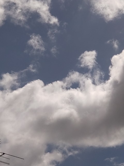 f:id:amgmc:20230508102909j:image