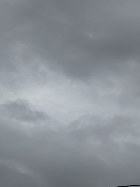 f:id:amgmc:20230523163157j:image f:id:amgmc:20230523163157j:image