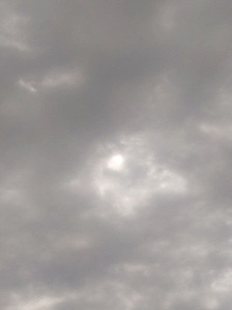 f:id:amgmc:20230528093620j:image