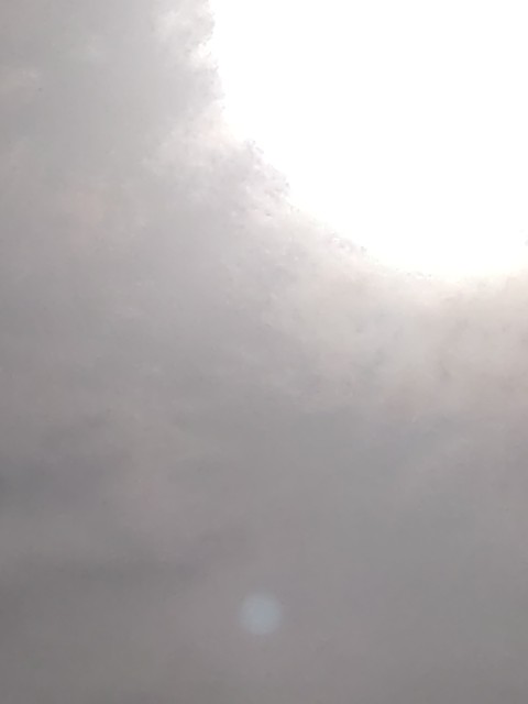 f:id:amgmc:20230605112408j:image