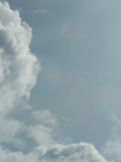 f:id:amgmc:20230702090244j:image