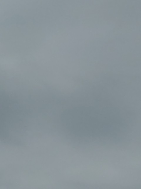 f:id:amgmc:20230708131643j:image