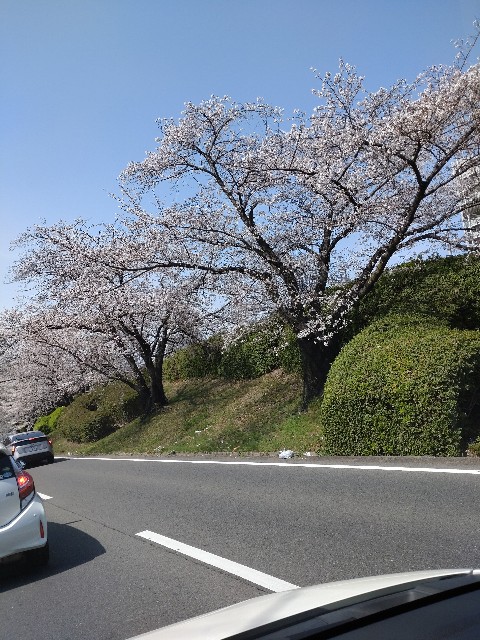 f:id:amgmc:20250405141043j:image