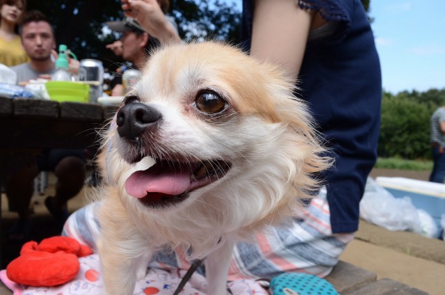 f:id:ami_tanaka:20171028233611j:image