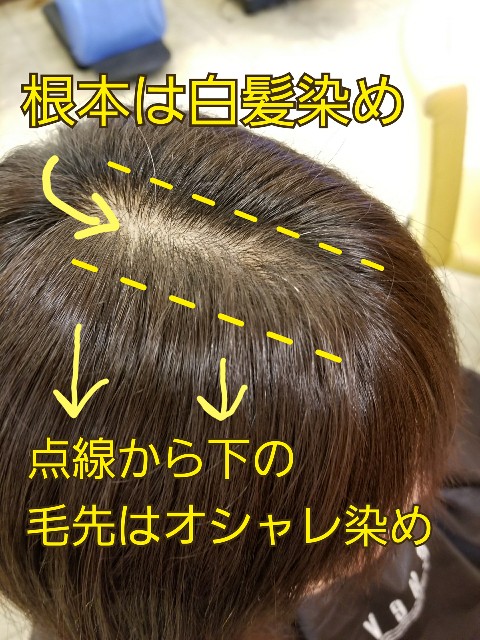 f:id:ami_tanaka:20171101220247j:image f:id:ami_tanaka:20171101220247j:image
