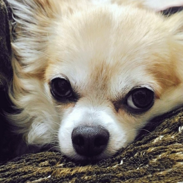 f:id:ami_tanaka:20171110000025j:image