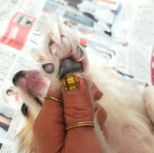 f:id:ami_tanaka:20171110013905j:image