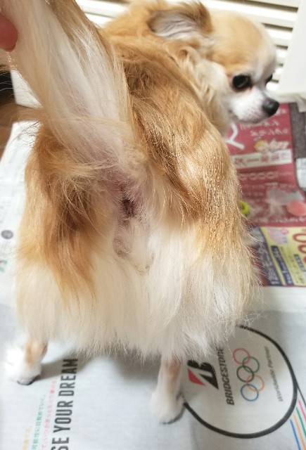 f:id:ami_tanaka:20171110014011j:image