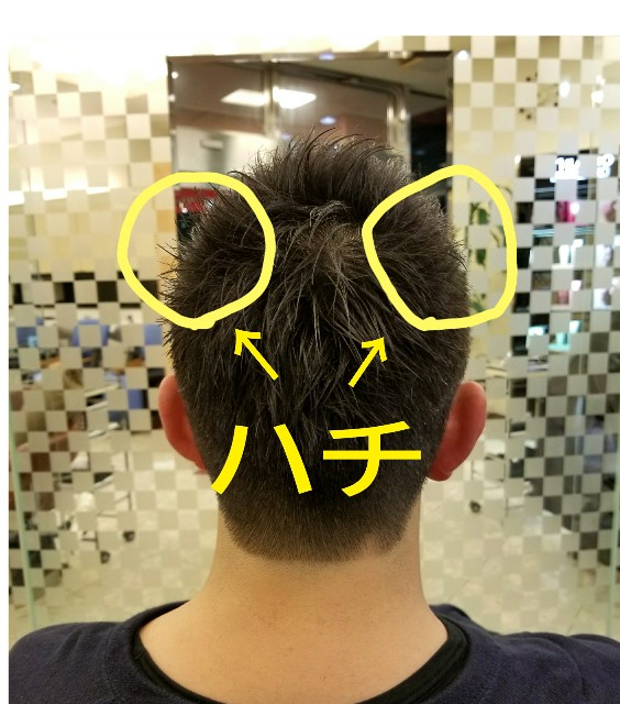 f:id:ami_tanaka:20171113210420j:image