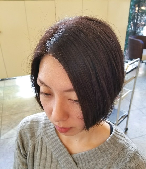 f:id:ami_tanaka:20171211170550j:image