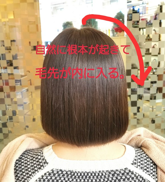 f:id:ami_tanaka:20171211173751j:image