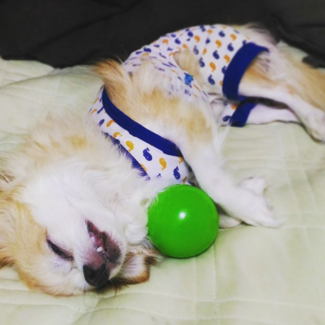 f:id:ami_tanaka:20171216201314j:image