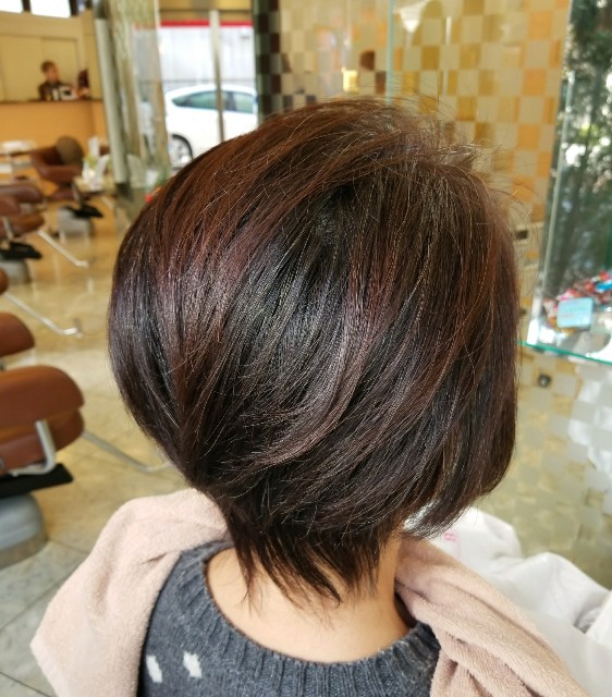 f:id:ami_tanaka:20171217082615j:image f:id:ami_tanaka:20171217082615j:image