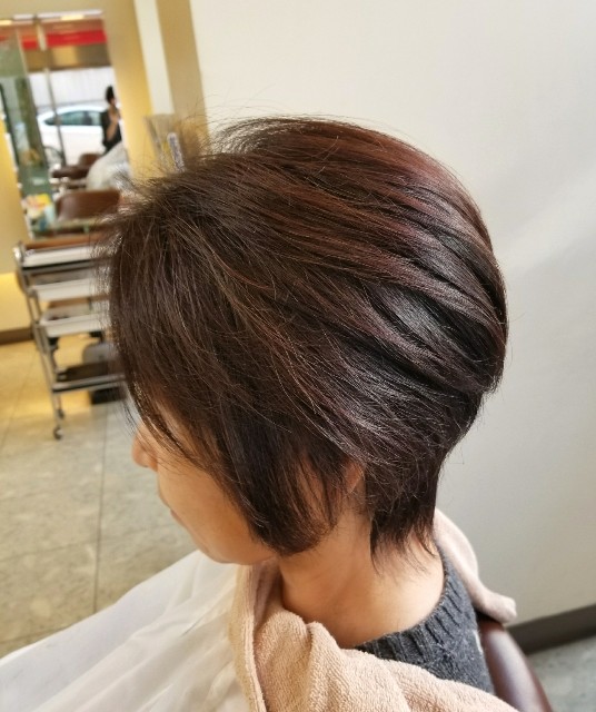 f:id:ami_tanaka:20171217082724j:image f:id:ami_tanaka:20171217082724j:image