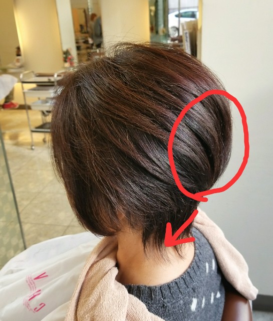 f:id:ami_tanaka:20171217083439j:image f:id:ami_tanaka:20171217083439j:image