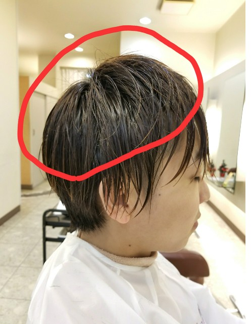 f:id:ami_tanaka:20171225205623j:image