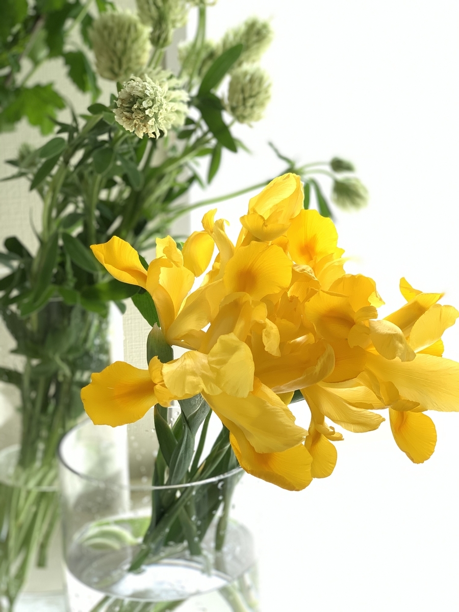 f:id:amicaflower:20200422170629j:plain f:id:amicaflower:20200422170629j:plain