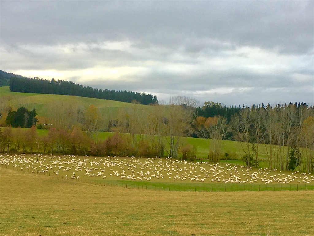 f:id:amidas4:20171027010955j:image