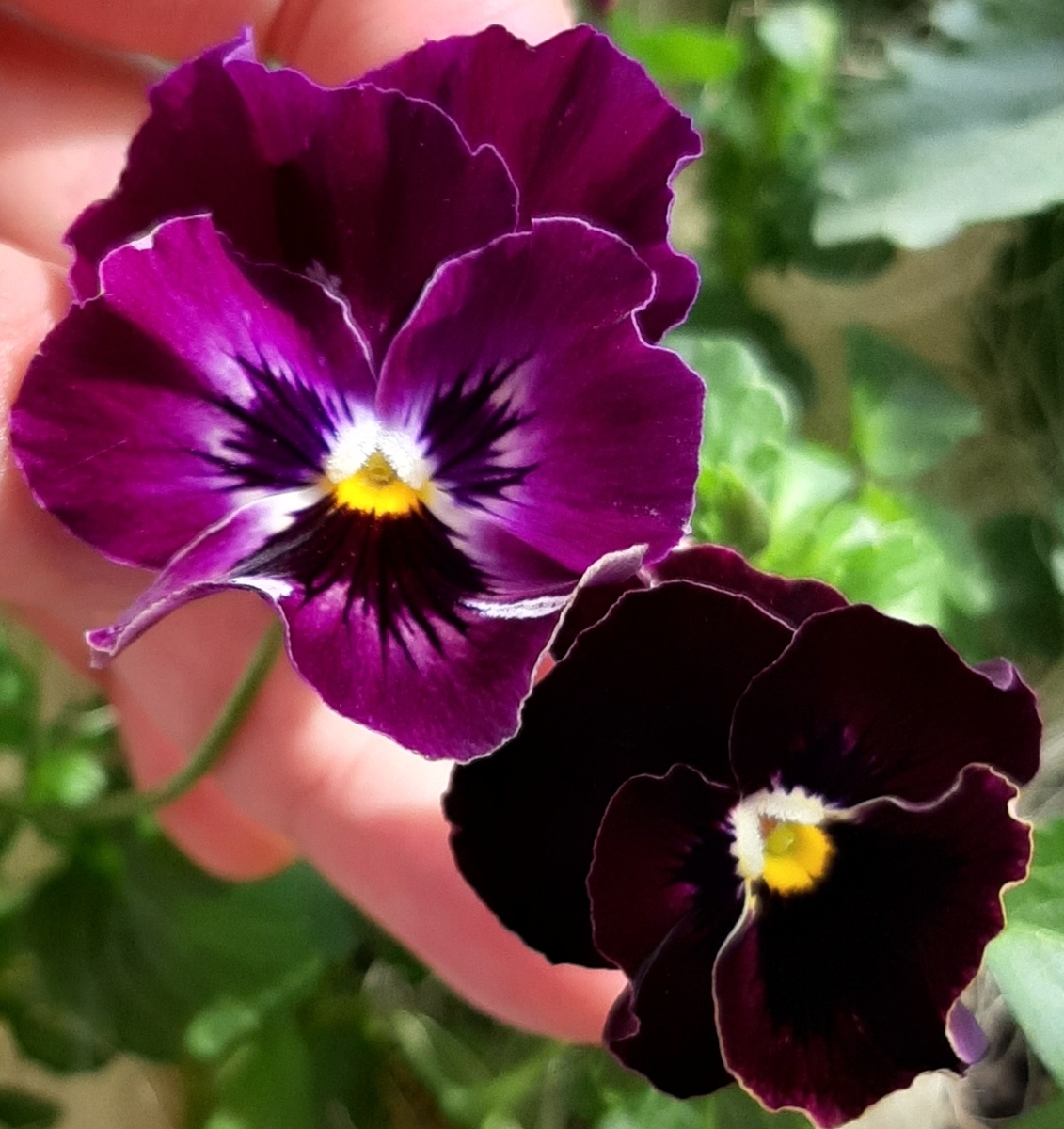 f:id:amidiary:20211203212844j:plain