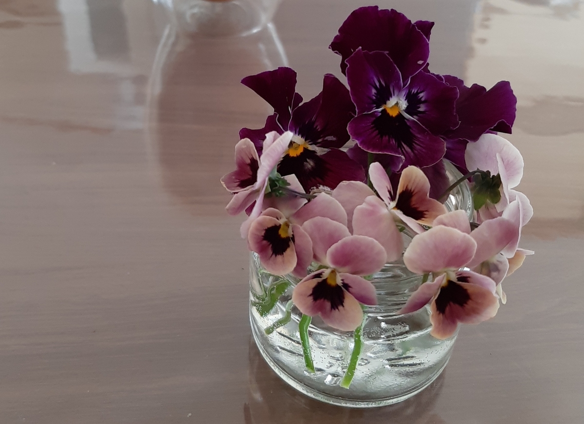 f:id:amidiary:20211203213752j:plain
