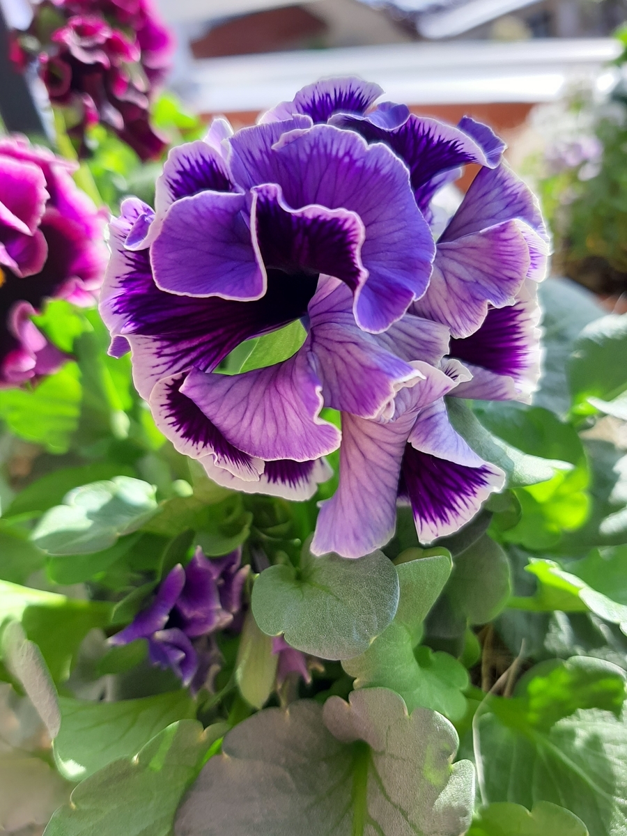 f:id:amidiary:20211220212327j:plain