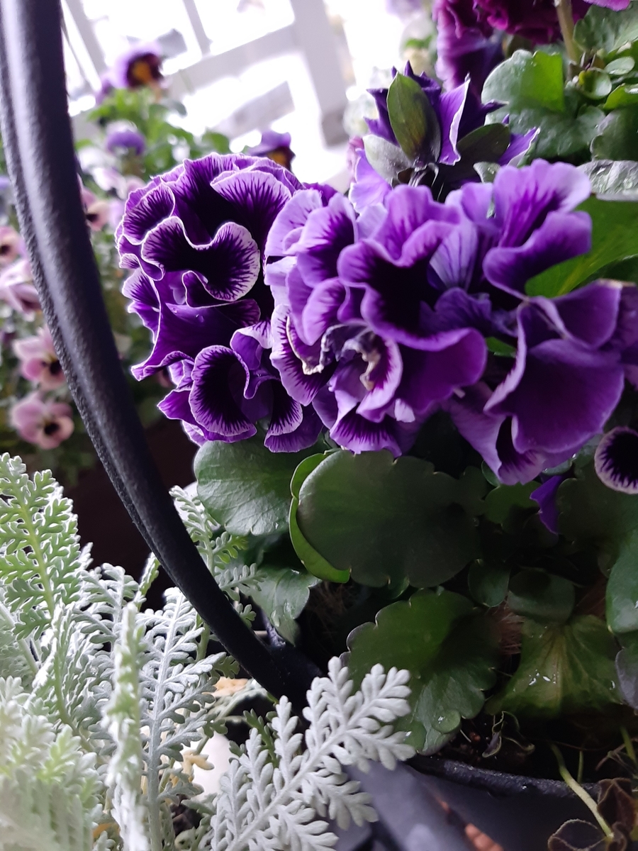 f:id:amidiary:20220215154806j:plain