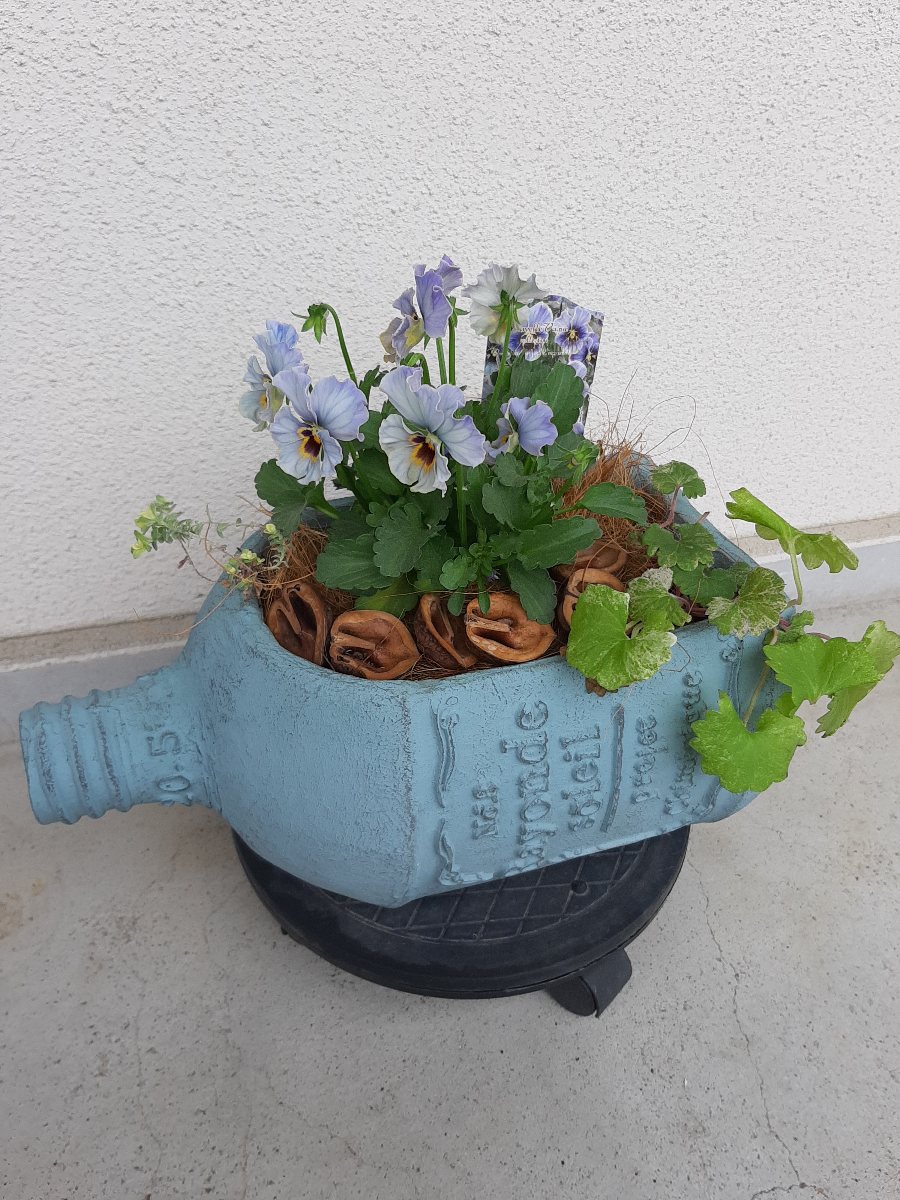 ブルーの寄せ植え ラピスラズリとシエルブリエ - amidiary ゆるゆる