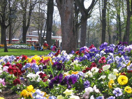 f:id:amie-12lune:20080405231816j:image