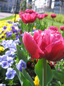 f:id:amie-12lune:20080405232436j:image