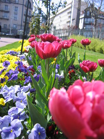 f:id:amie-12lune:20080405232525j:image