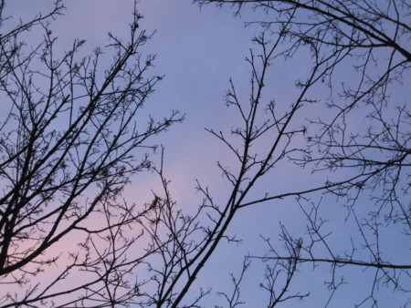 f:id:amie-12lune:20130227012512j:image