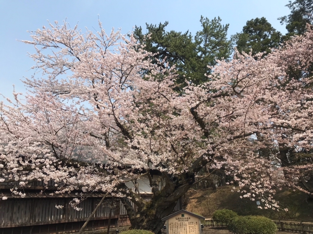 f:id:amies_via:20180424004010j:plain f:id:amies_via:20180424004010j:plain