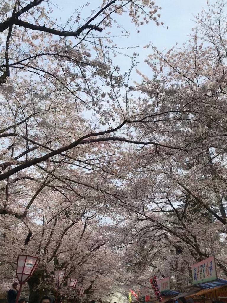 f:id:amies_via:20180424004032j:plain f:id:amies_via:20180424004032j:plain