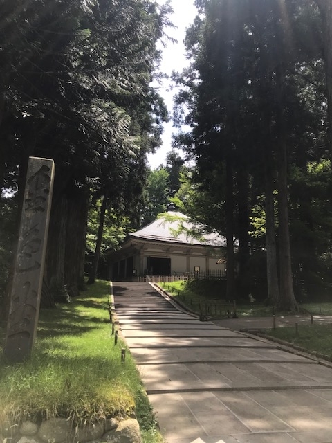 f:id:amies_via:20180622061128j:plain f:id:amies_via:20180622061128j:plain