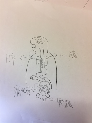 f:id:amigo_330:20180125054052j:image f:id:amigo_330:20180125054052j:image