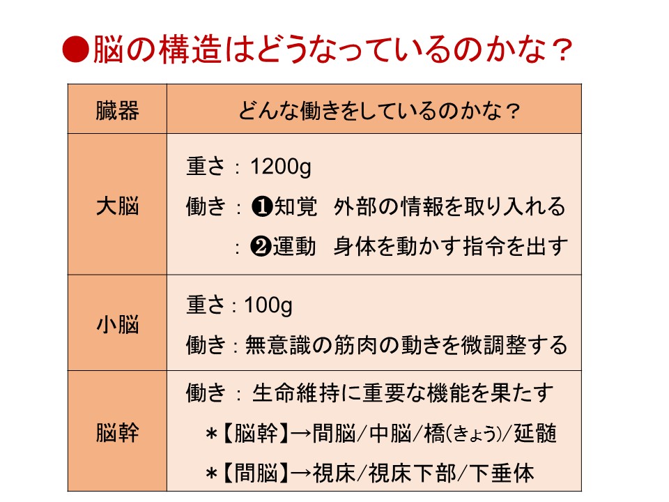 f:id:amigo_330:20190121144958j:plain f:id:amigo_330:20190121144958j:plain