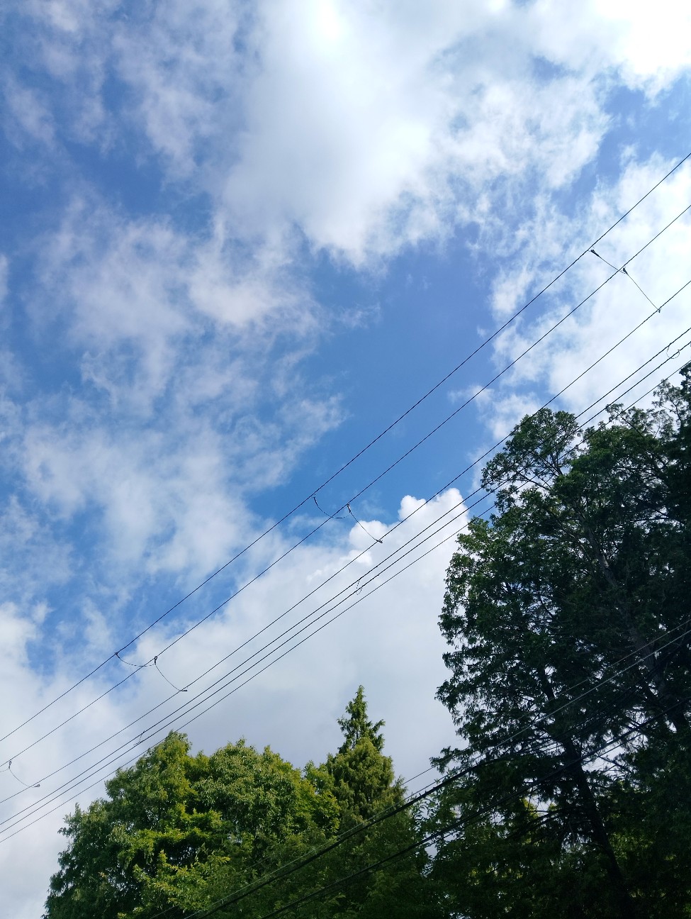 f:id:amigo_330:20260622203515j:image