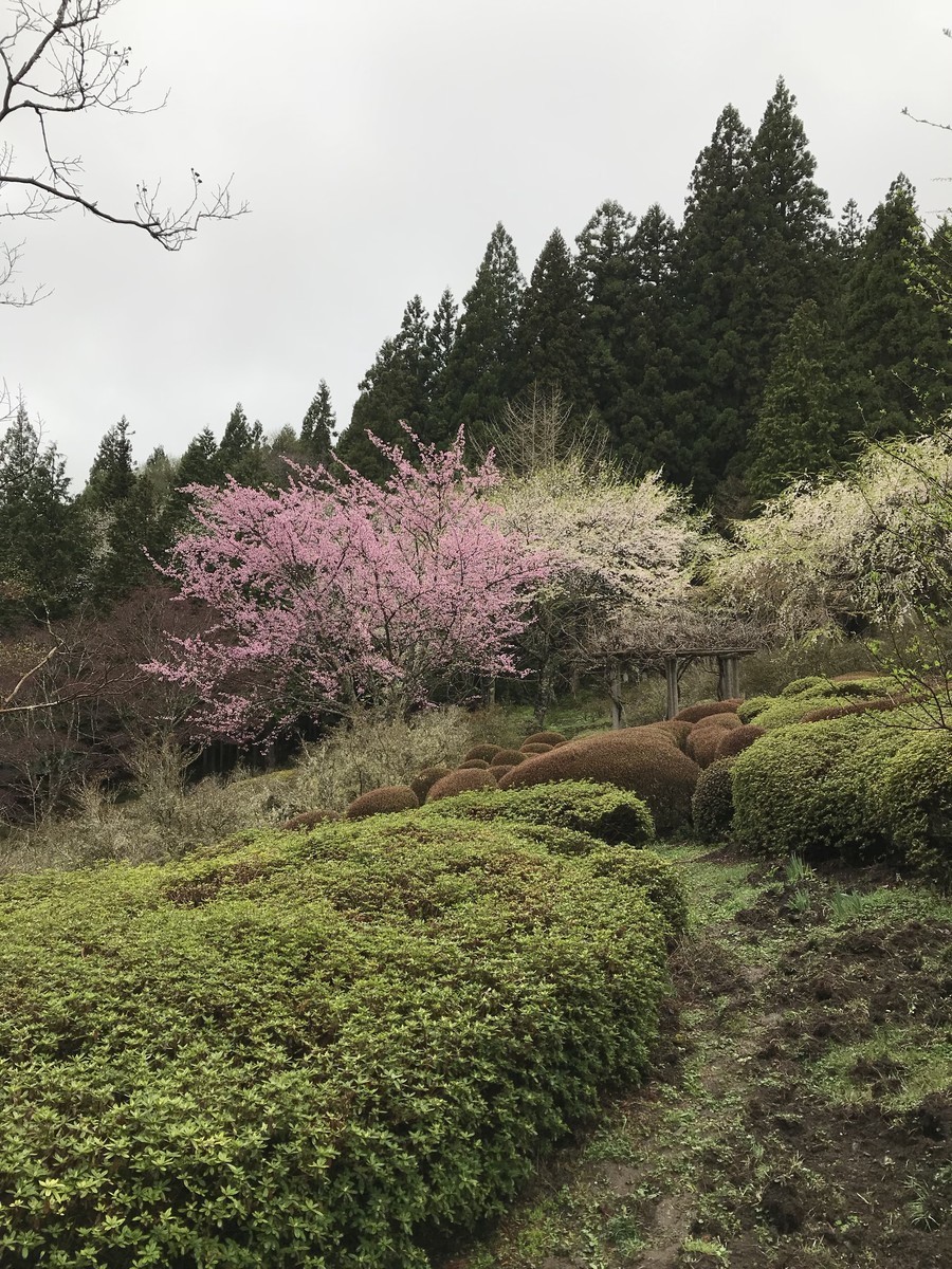 f:id:amigo_kimura:20190507122549j:plain f:id:amigo_kimura:20190507122549j:plain