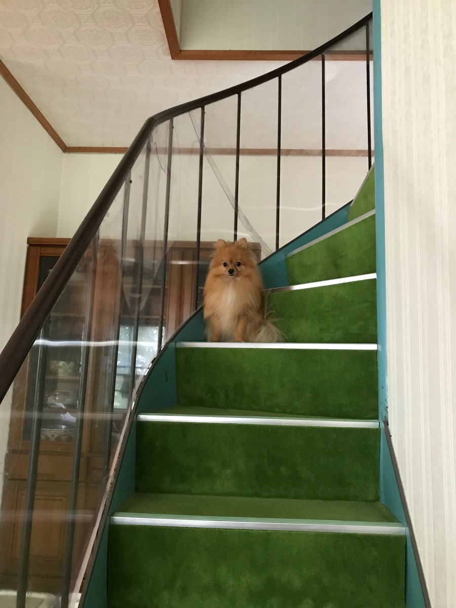 f:id:amigo_kimura:20190924122313j:plain f:id:amigo_kimura:20190924122313j:plain