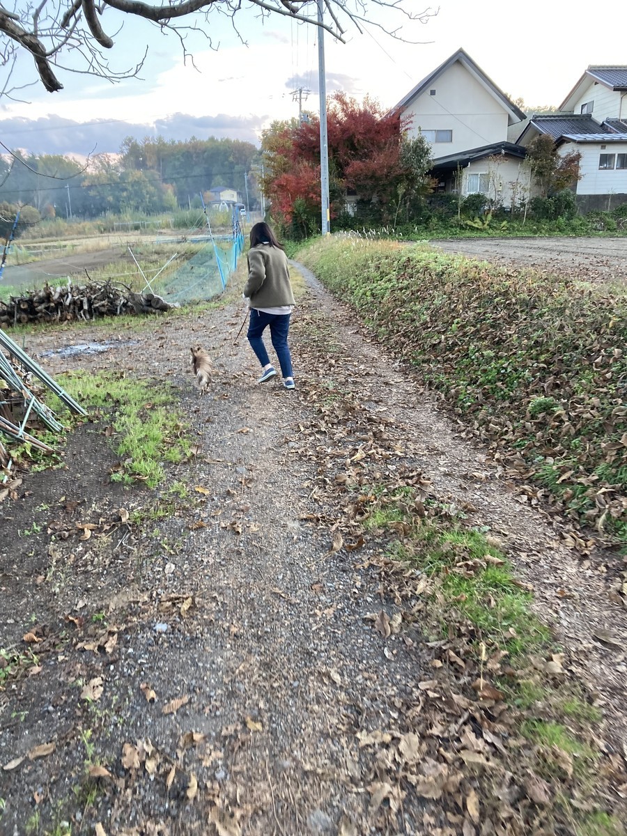 f:id:amigo_kimura:20211106180643j:plain