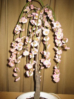 f:id:amihsim:20070227160758j:image