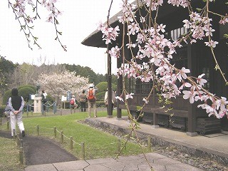 f:id:amihsim:20070411083226j:image