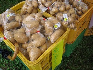 f:id:amihsim:20070708092756j:image:right