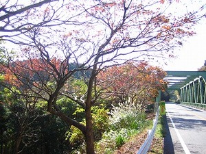f:id:amihsim:20071126083120j:image:right