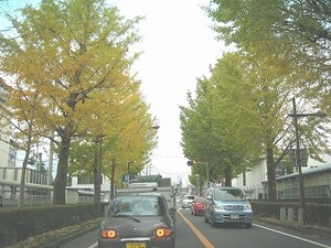 f:id:amihsim:20071128081914j:image:right