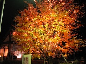 f:id:amihsim:20071207083501j:image:right