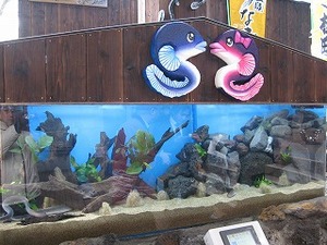 f:id:amihsim:20080119085016j:image:right