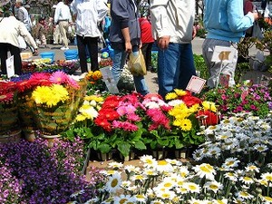 f:id:amihsim:20080406072402j:image:right
