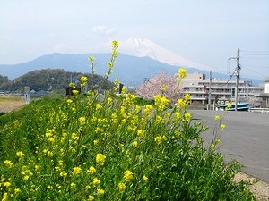 f:id:amihsim:20080406073030j:image:right